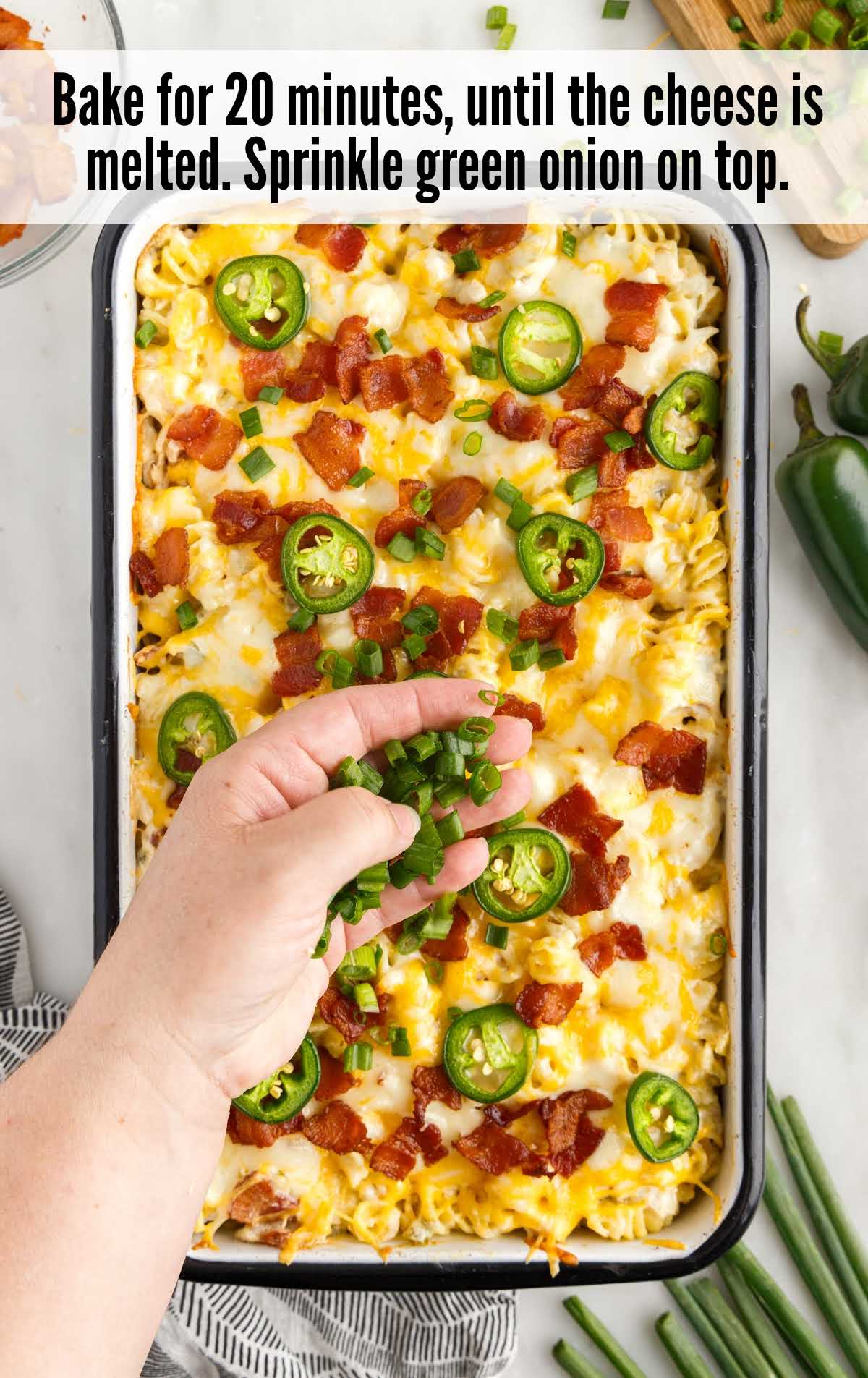 A pizza sitting on top of a tray of food, with Chicken and Pasta
