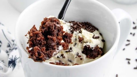 1-Minute Microwave Mug Cake | Dairy free cake, Allergy free recipes, Egg  free cakes