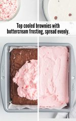 Peppermint Brownies - The Best Blog Recipes
