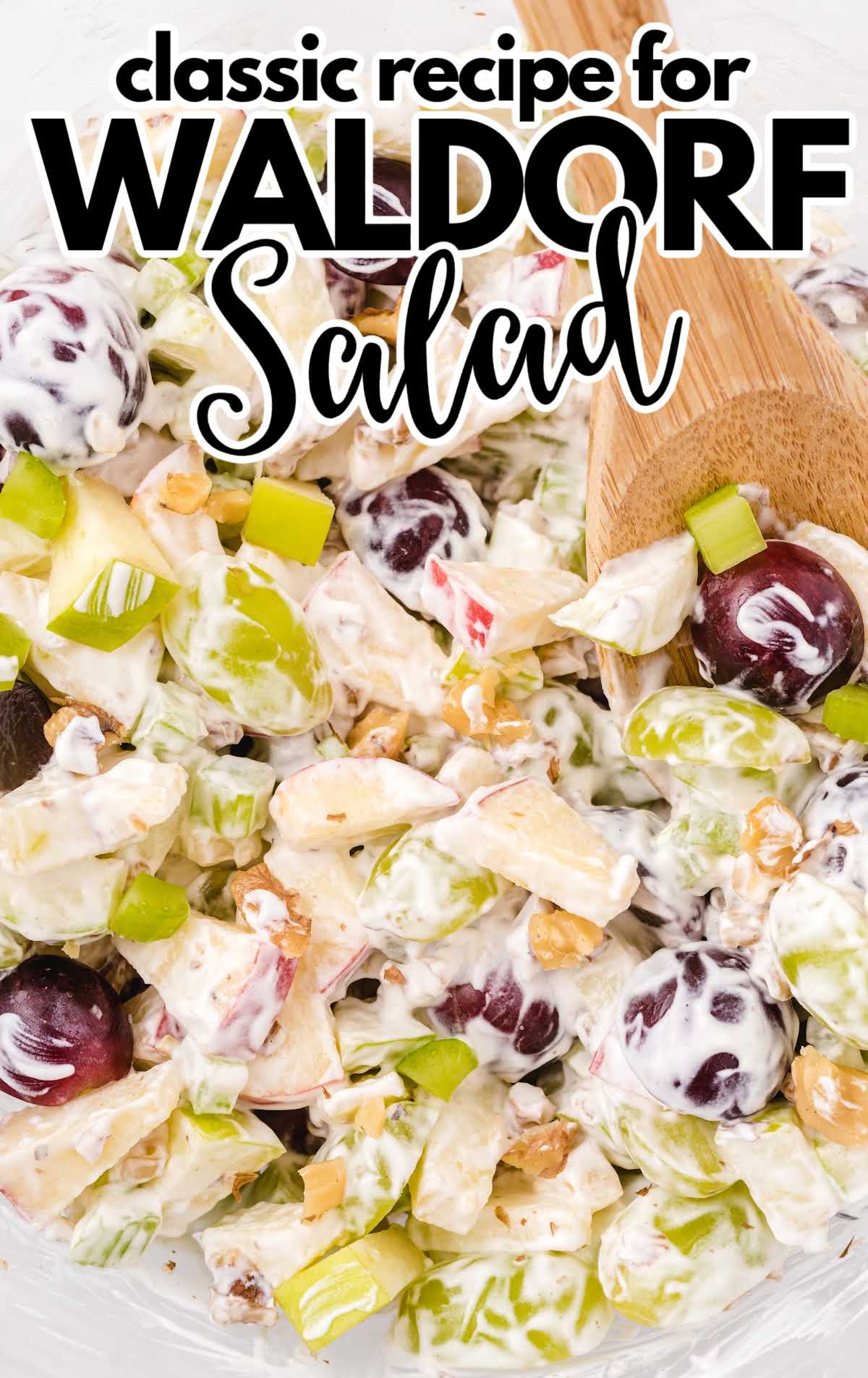 A close up of food, with Waldorf salad