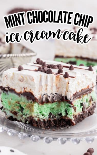 Mint Chocolate Chip Ice Cream Cake - The Best Blog Recipes