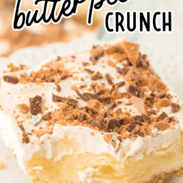 Butter Pecan Ice Cream Cake Recipe