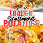 a spoonful of bacon loaded scalloped potatoes