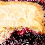 blueberry cream cheese dump cake in a 9x13 baking dish ready to serve