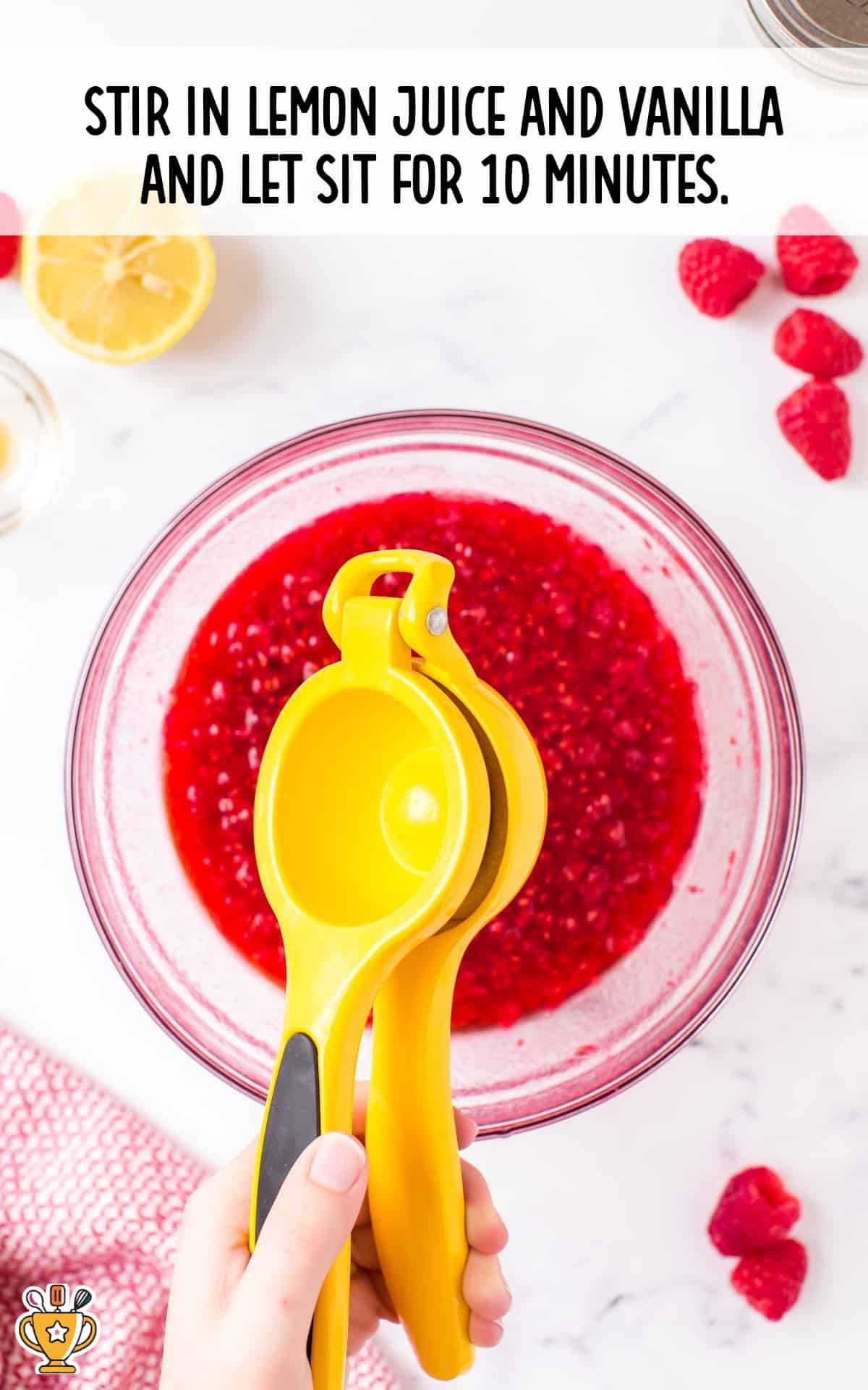 lemon juice and vanilla added to the bowl of raspberry mixture