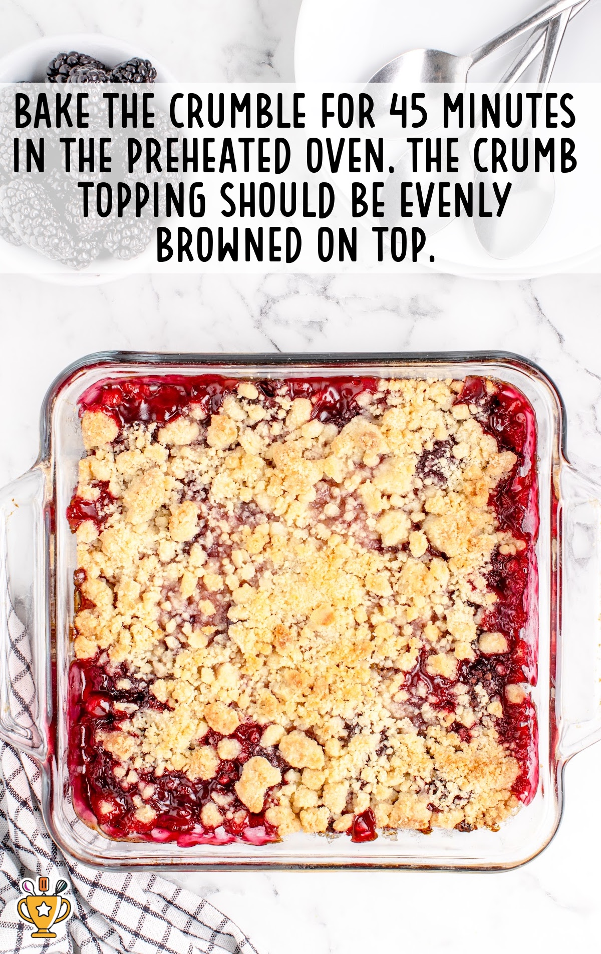 overhead shot of Blackberry Crumble baked in a baking dish