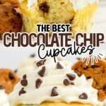 a close up shot of a Chocolate Chip Cupcake