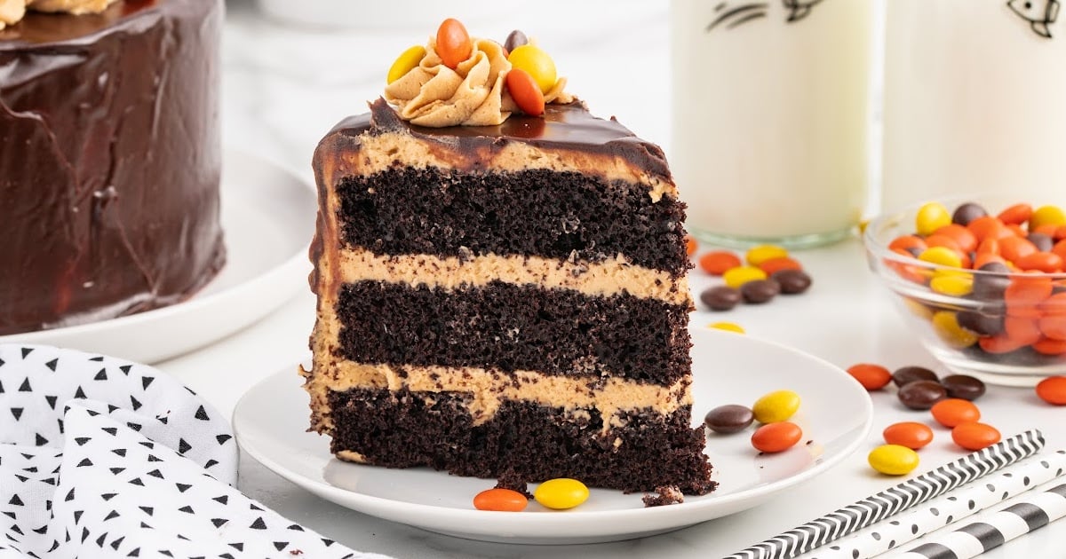 chocolate cake topped with frosting and Reese's pieces on a stand