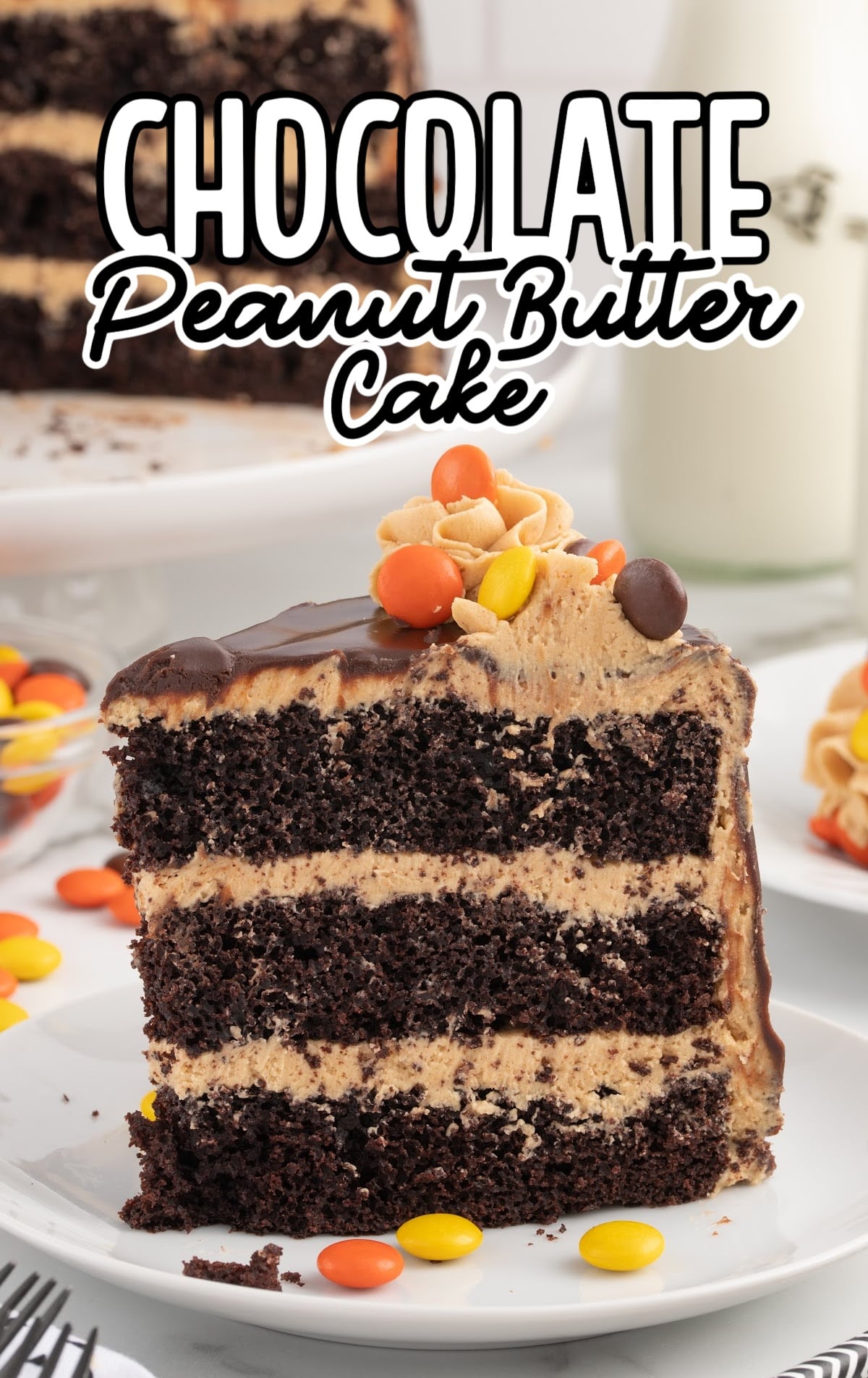a slice of chocolate cake topped with frosting and Reese's pieces on a plate