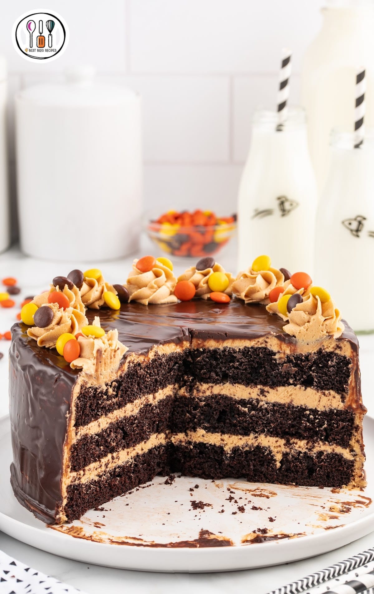 chocolate cake topped with frosting and Reese's pieces on a stand