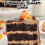 a slice of chocolate cake topped with frosting and Reese's pieces on a plate