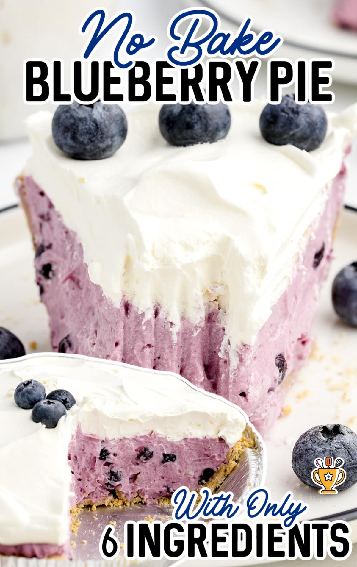 slice of blueberry pie with blueberries on the plate as garnish