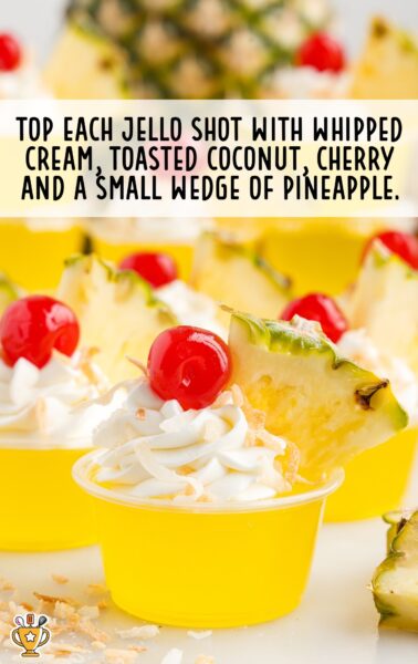 whipped cream, toasted coconut, cherry and small pineapple topped on each shot