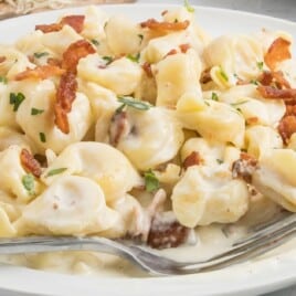 a white dinner plate with a serving of tortellini carbonara and a fork