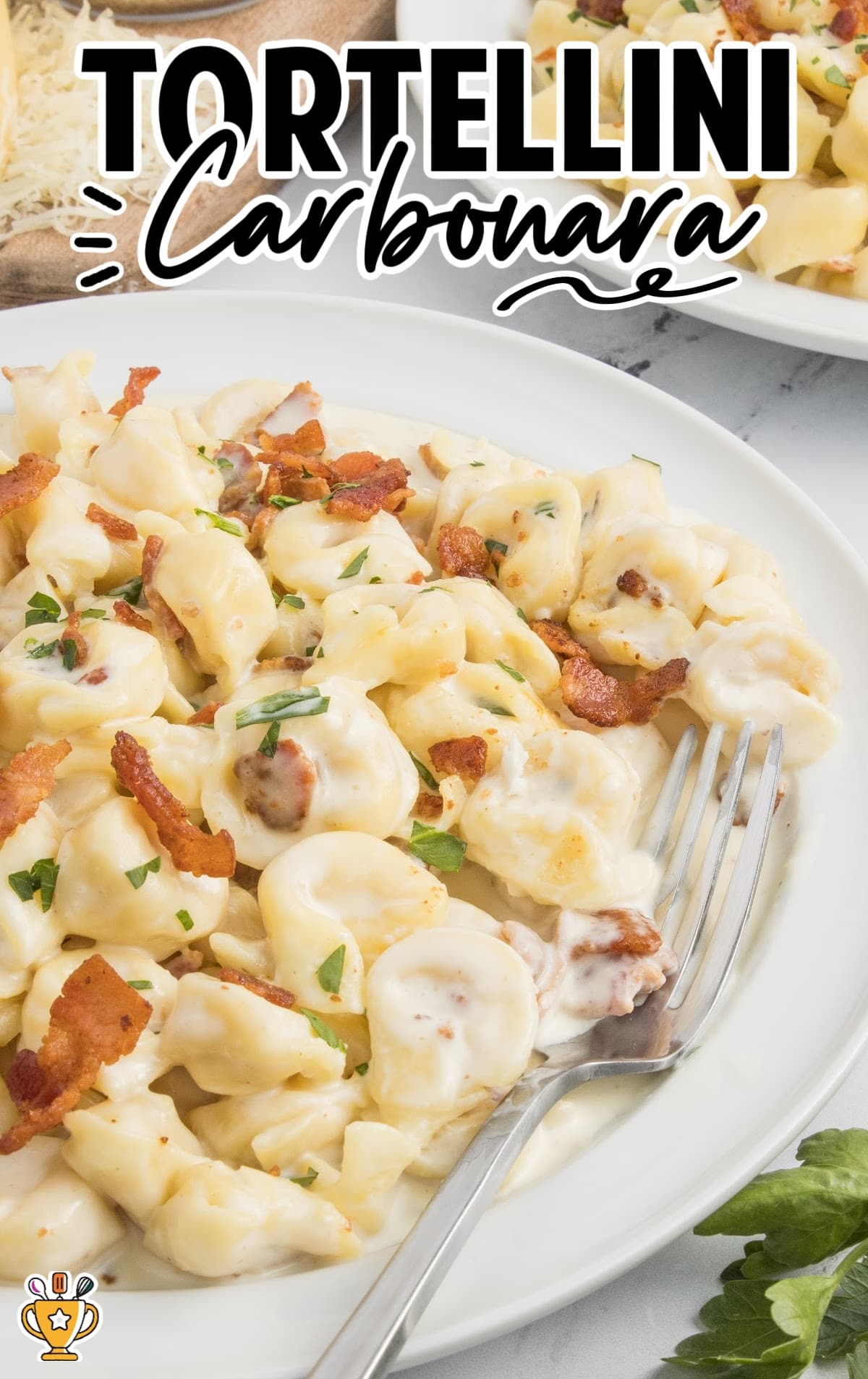 a close up shot of Tortellini Carbonara on a plate