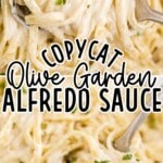 close up overhead shot of a serving of Copycat Olive Garden Alfredo Sauce with pasta and garnished with parsley in a bowl with a fork