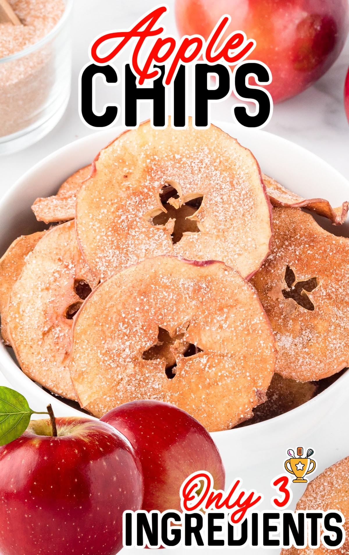 close up of a bowl of cinnamon sugar apple chips