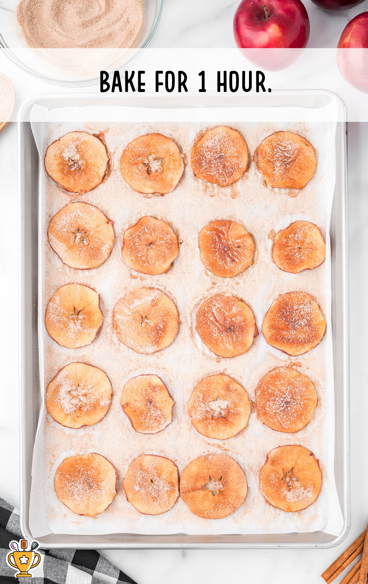 apple chips that have been baked for one hour