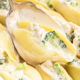 Chicken and Broccoli Stuffed Shells in a bowl with a spoon in it