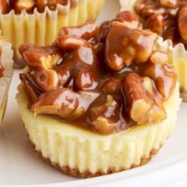 Mini Pecan Cheesecake Bites on a plate.