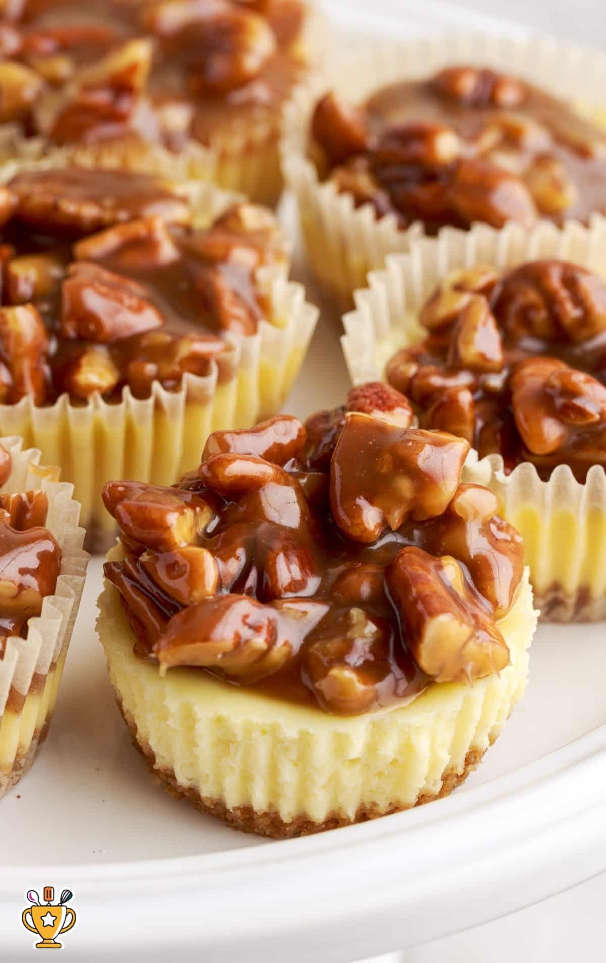 Mini Pecan Cheesecake Bites on a plate