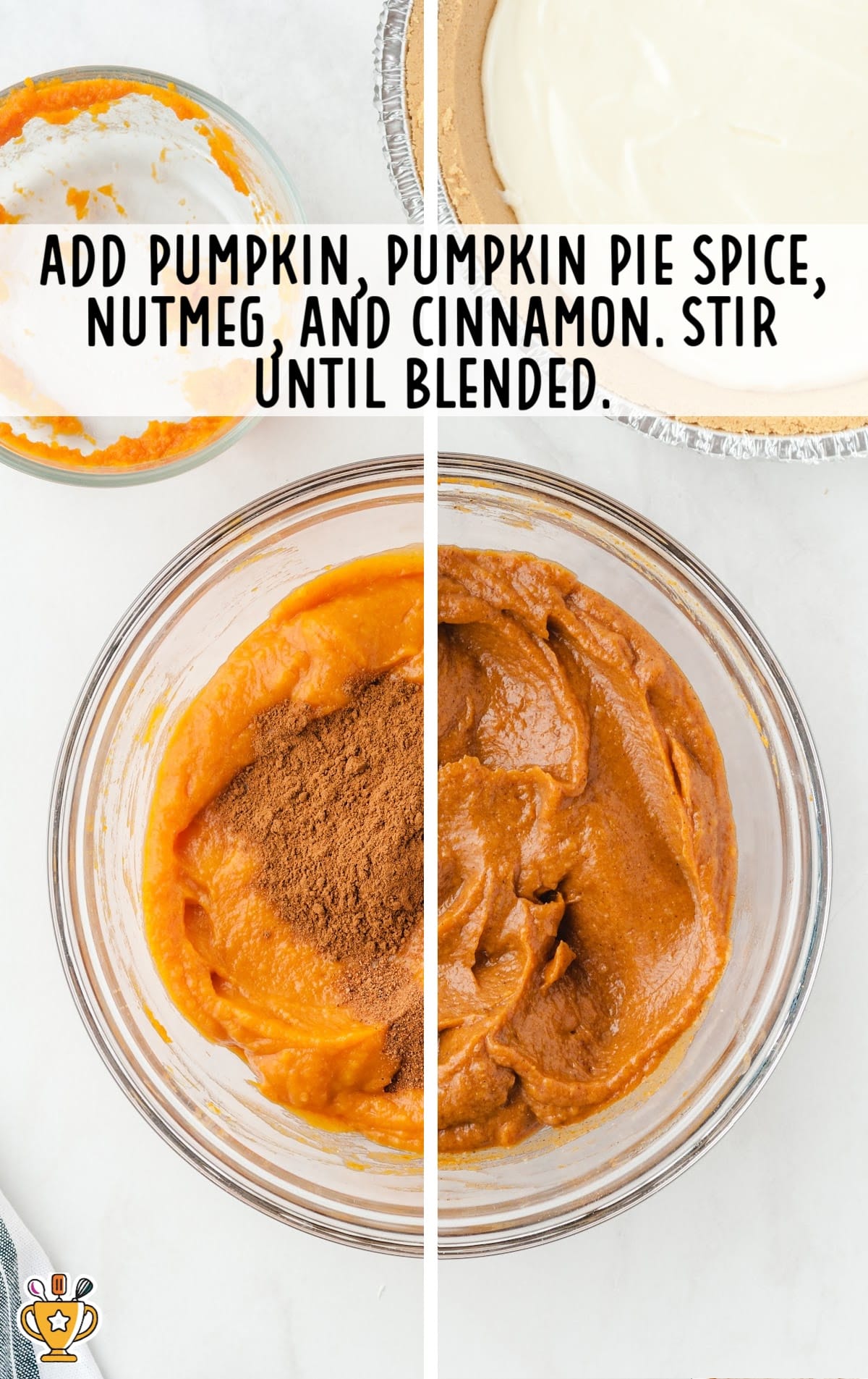 Pumpkin, Pumpkin pie spice, Nutmeg and Cinnamon blended in a bowl