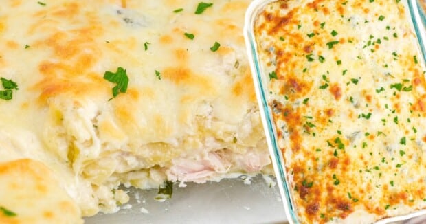 A lasagna pan of white chicken lasagna.