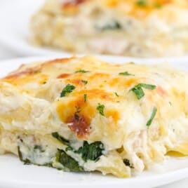 A closeup picture of White Chicken Lasagna