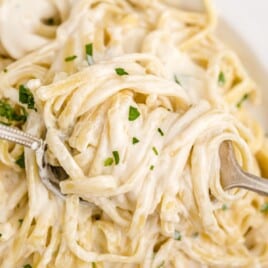 a fork swirling in a plate of pasta with alfredo