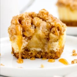 A close up picture of a Mini Apple Cheesecake on a white plate