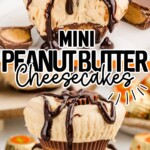 Mini Peanut Butter Cheesecakes