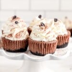 Kahlua Cheesecakes on a plate