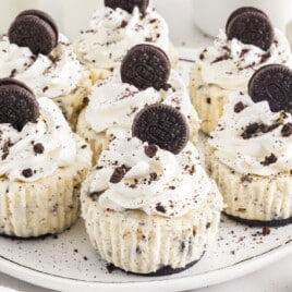 Mini Oreo Cheesecakes on a plate