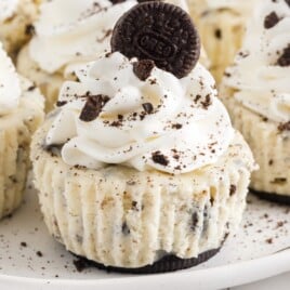 A Mini Oreo Cheesecake with a bunch others behind it