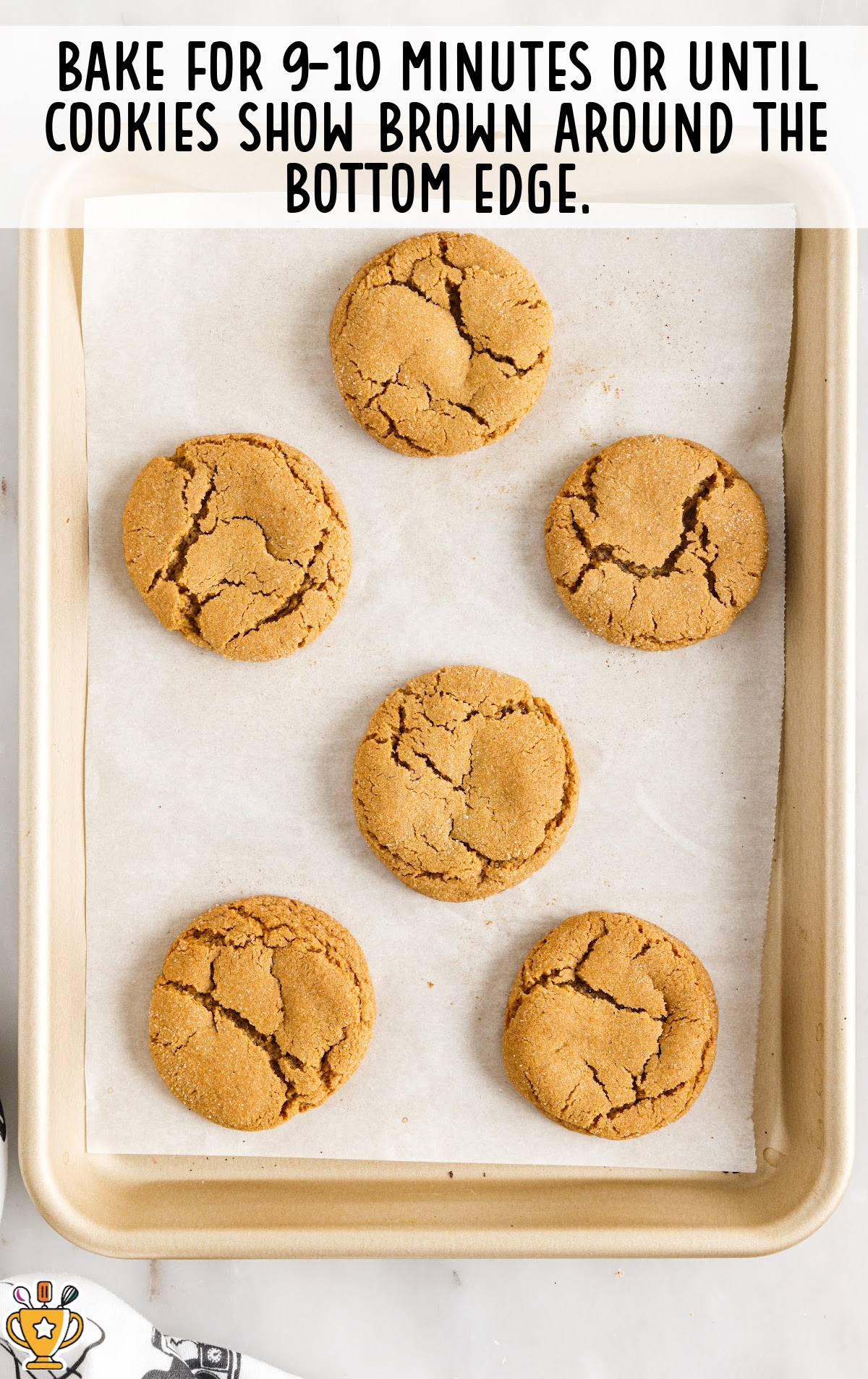Molasses Cookies on a baking pan