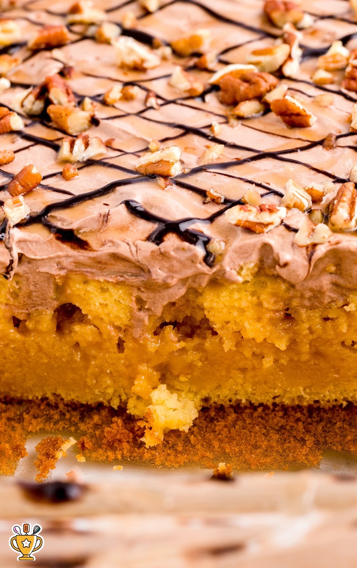 Turtle Poke Cake