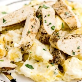 Asiago Tortellini Alfredo with Grilled Chicken on a plate