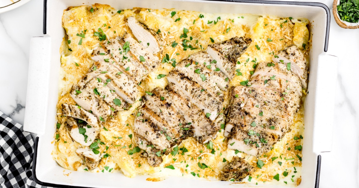 a baking pan of pasta with chicken on top.