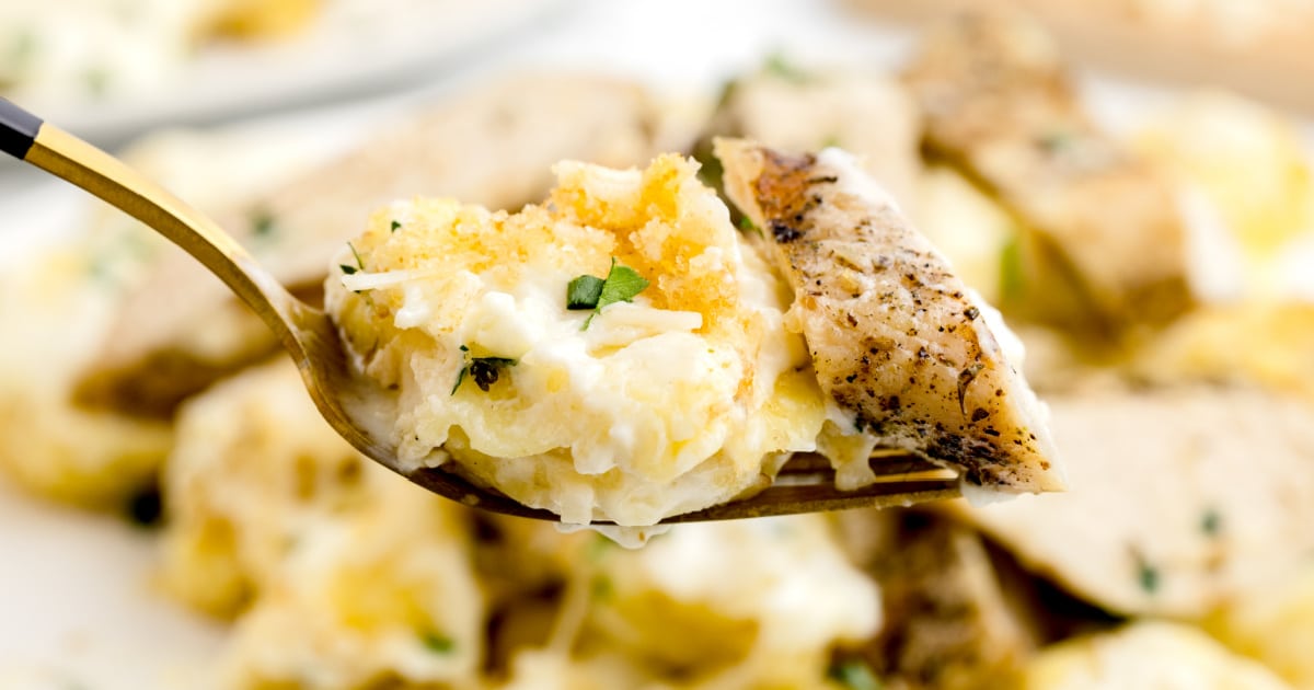 a fork full of asiago tortellini afredo.