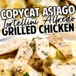 Asiago Tortellini Alfredo with Grilled Chicken on a plate