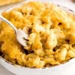 Pumpkin Mac and Cheese in a bowl with a fork in it