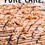 Turtle Poke Cake