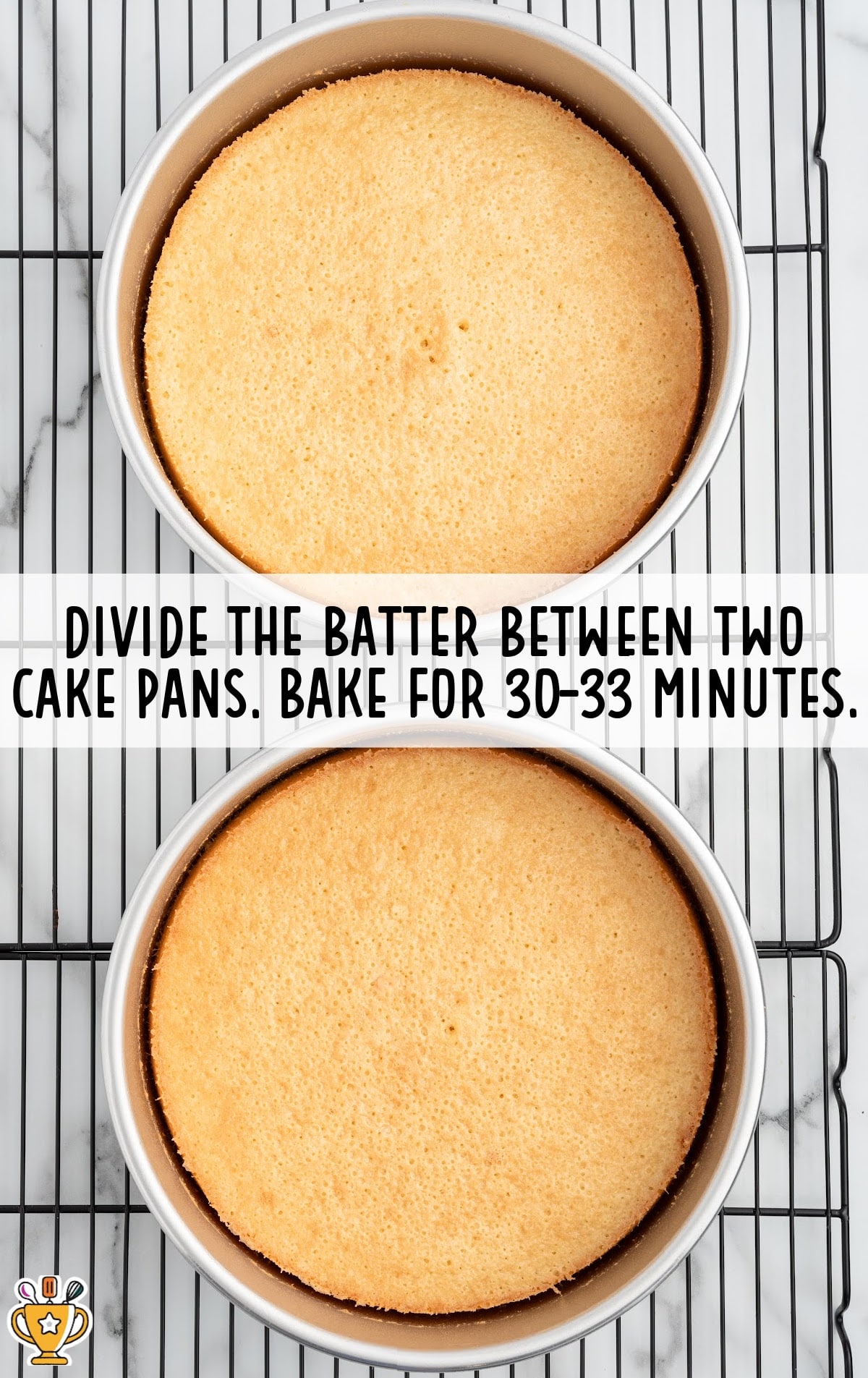 Two baked cakes in cake pans