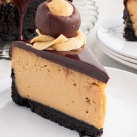 A piece of Buckeye Cheesecake on a plate