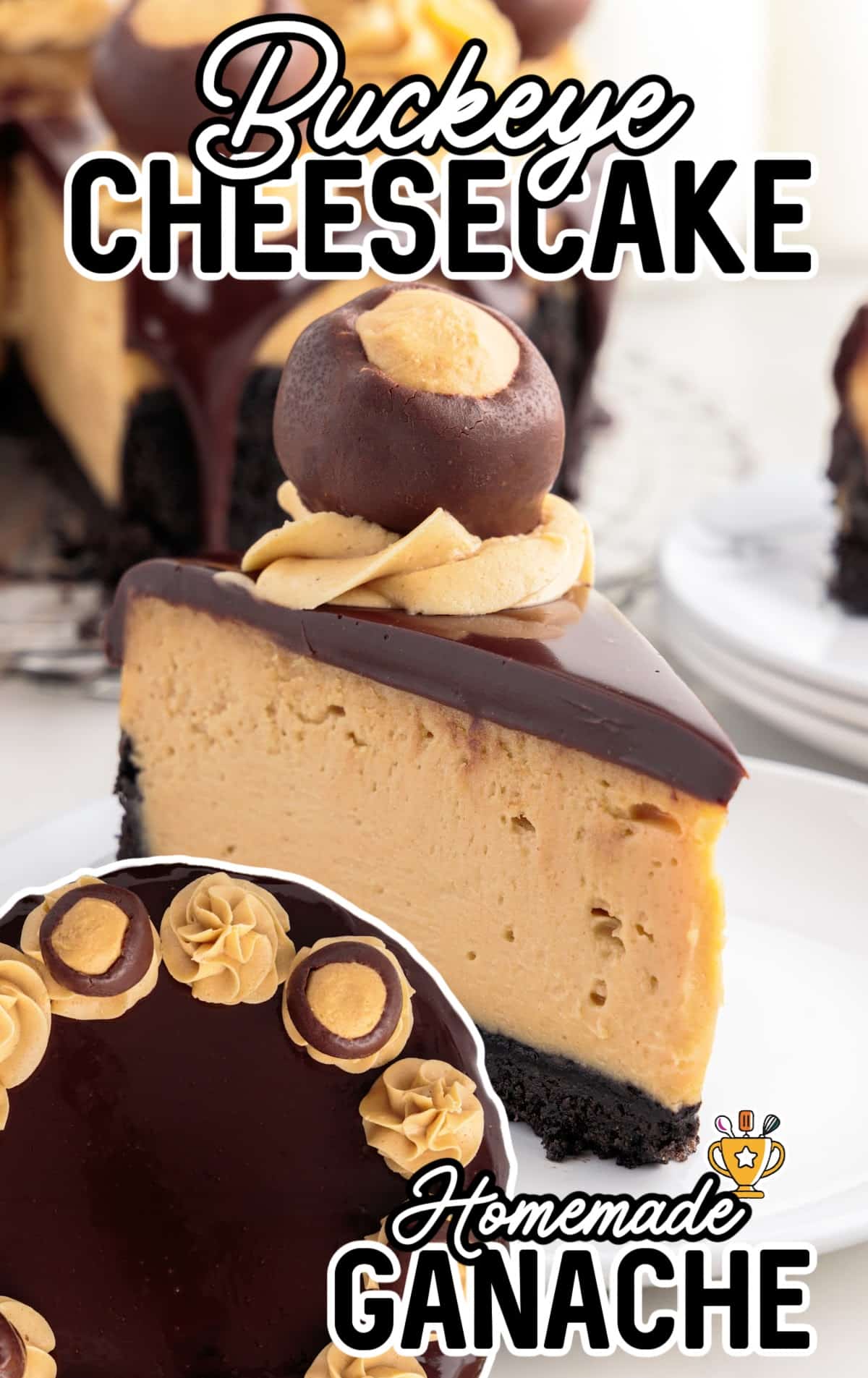 A piece of Buckeye Cheesecake