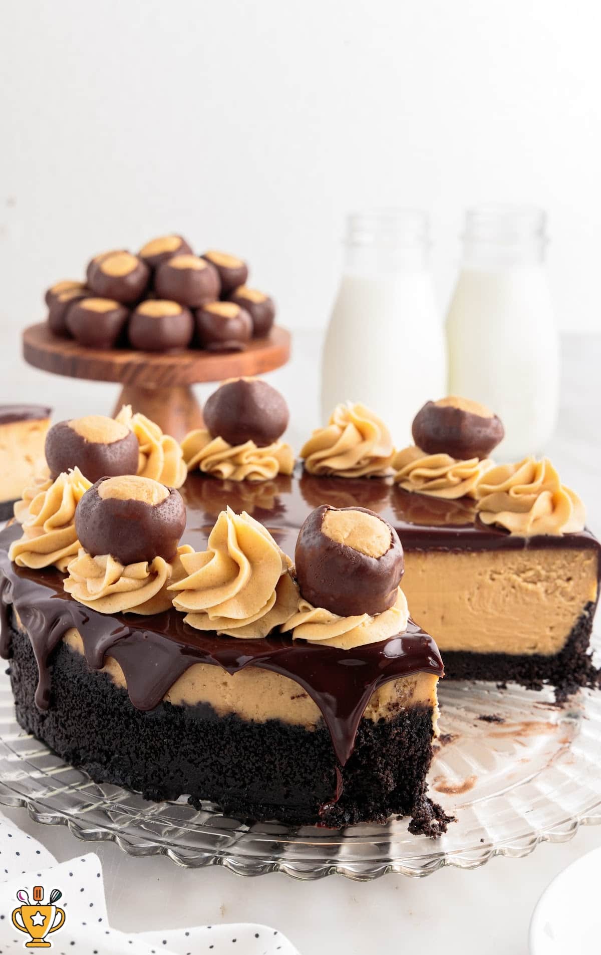 A Buckeye Cheesecake with a piece missing