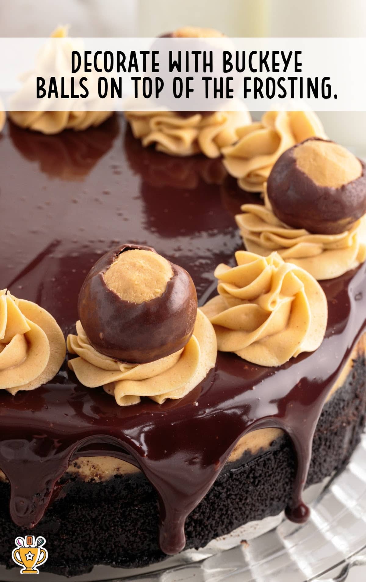 Buckeye Cheesecake decorated with buckeye balls