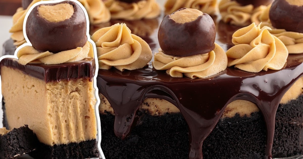A close up photo of Buckeye Cheesecake