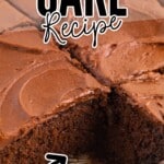A moist chocolate cake in a cake pan.