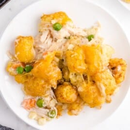 Chicken Pot Pie with Tater Tots on a plate